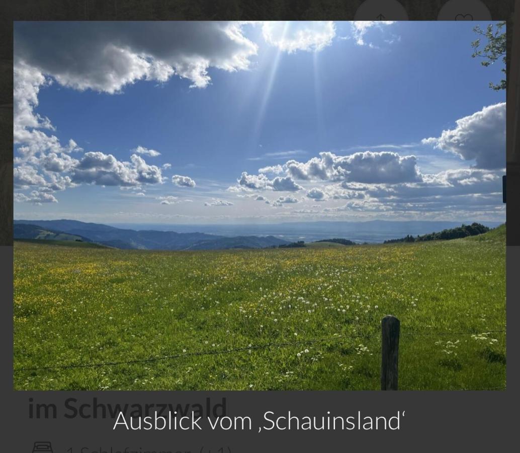 Toscana-Residenz Im Schwarzwald Utzenfeld Экстерьер фото