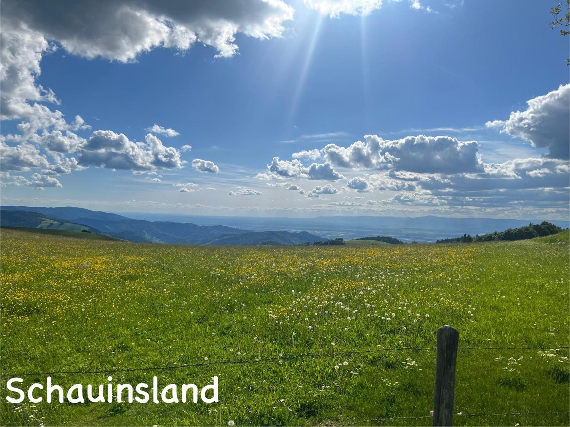 Toscana-Residenz Im Schwarzwald Utzenfeld Экстерьер фото